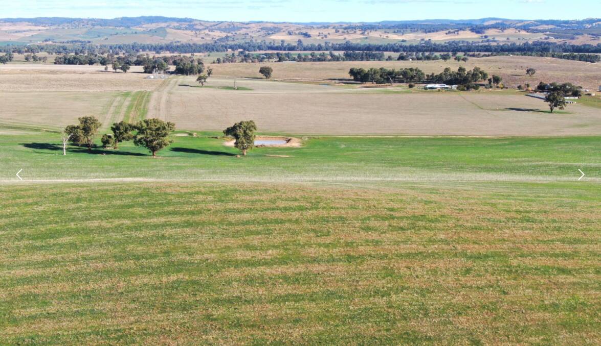 Rivendell is a highly productive mixed farming enterprise situated on the edge of NSW's renowned South West Slopes. Picture supplied