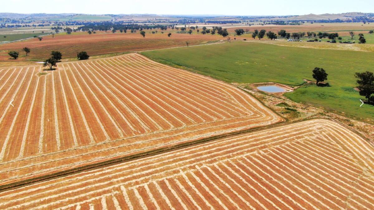 The property is about 55 per cent arable and has fertile, red loam soils with proven high-density stocking rates. Picture supplied